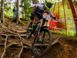 2e1ax_greenie_frontpage_cappellari_sieg_1slowenien_s